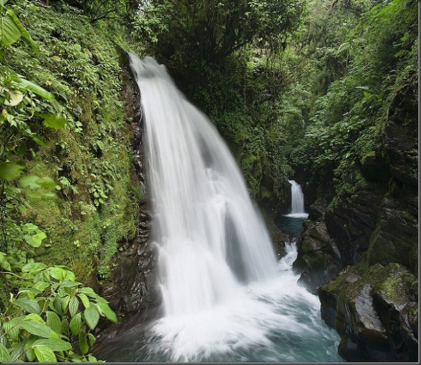 Costa Rica (12)
