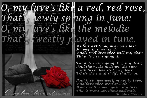 [robbieburns[2].jpg]
