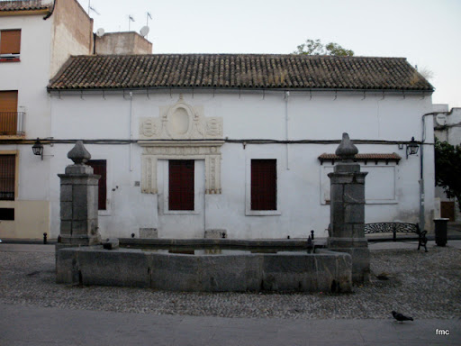  Fachada principal con la fuente de la plaza del Vizconde de Miranda