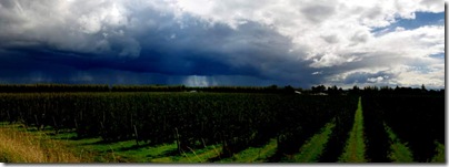 storm pano small-1