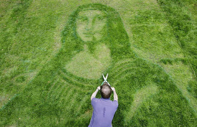 Mona lawn