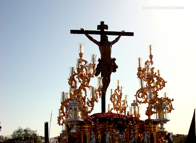 Cachorro 2010.jpg