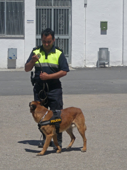 Perros policía