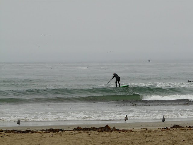 P1100004.JPG