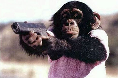 monkey will throw down at a moment's notice to avenge you.