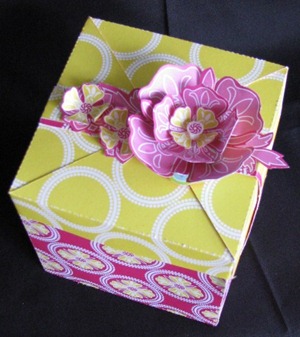 2011 02 30 LRoberts Cupcake Box Pink Flower Circles