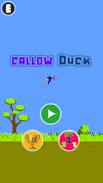 Ducks novice tunnel poster 1