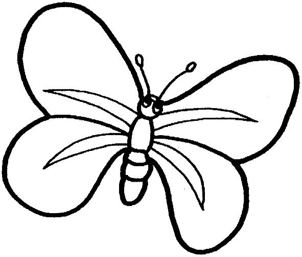 [jyc mariposas (13)[2].jpg]