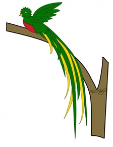 quetzal-color1
