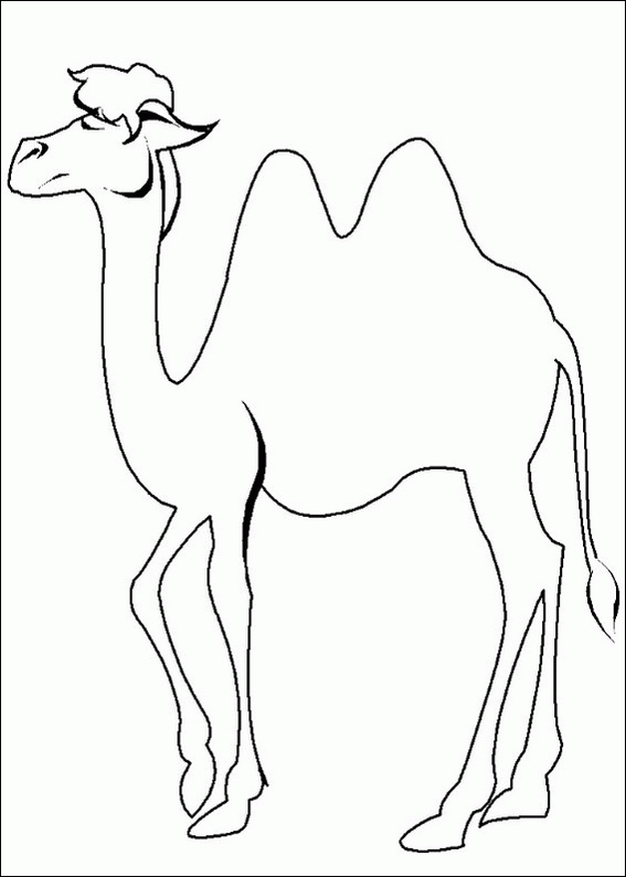 [camellos  (5)[2].gif]
