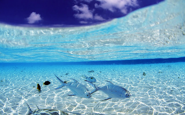 underwater3_1920