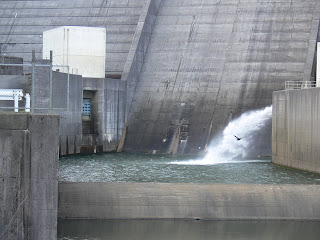 減勢工を望む