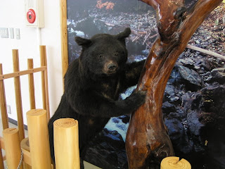 Bear! Bear! Bear!
