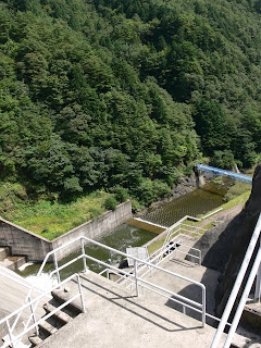 View downstream from the right bank dam site