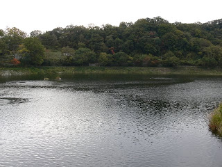 Vista del lago della diga dall'alto