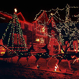 Christmas (5).jpg