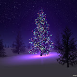 ChristmasTree-blue (4).jpg