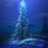 ChristmasTree-blue (3).jpg