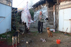 DSC03682.JPG