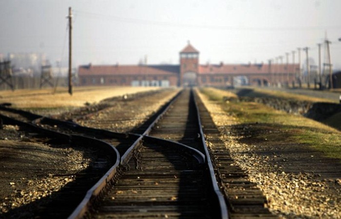Auschwitz (21)