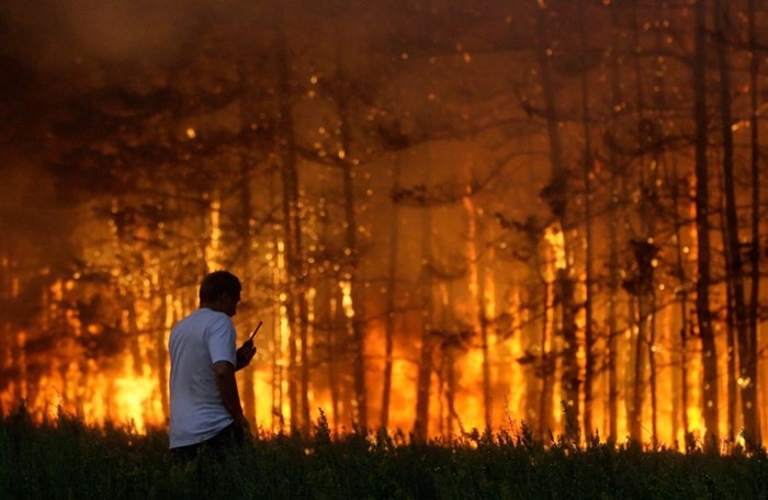 russia-forest-fire (7)