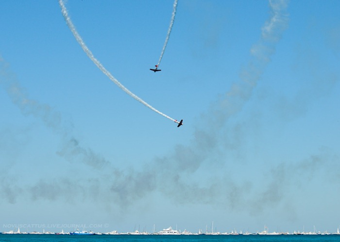 chicago-air-water-show (7)