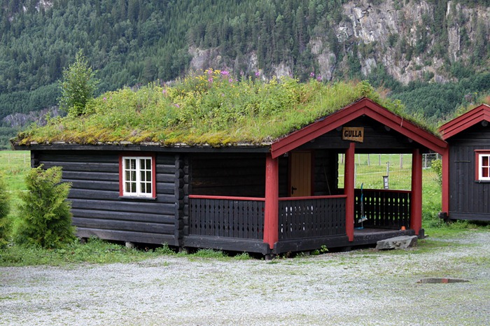 green-roof-norway (4)