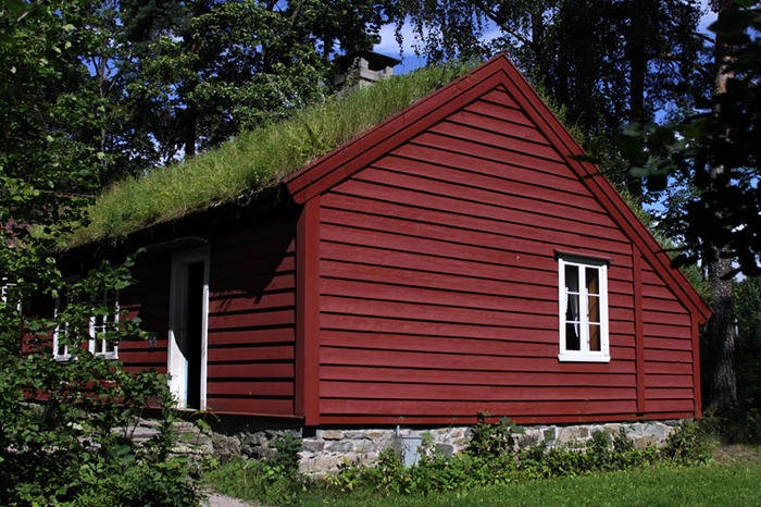 green-roof-norway (9)