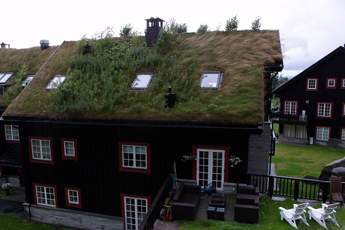 green-roof-norway (11)