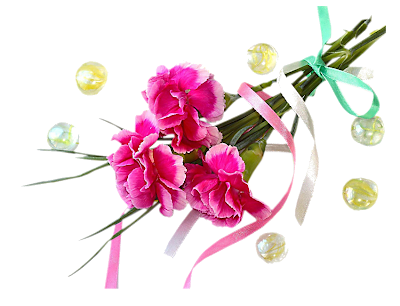 Bouquet_carnations_pictures.png