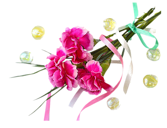 Bouquet_carnations_pictures.png