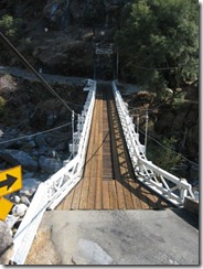 mosquito suspension bridge 2