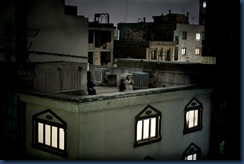 World Press Photo of the Year 2009
Pietro Masturzo, Italy
From the rooftops of Tehran, June
