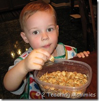 IMG_6528 IMG_6528