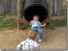 IMG_6258 IMG_6258