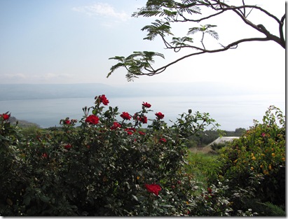 Sea Of Galilee