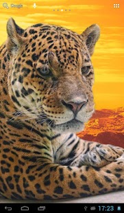 How to mod Jaguars Wallpapers 2.7 apk for pc