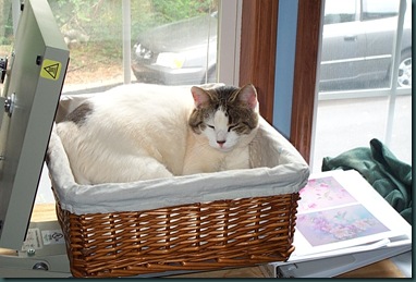 sleeping basket