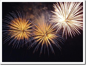 800px-Bratislava_New_Year_Fireworks (Small)