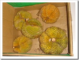 Durian-MYFH_20090629_2770-480