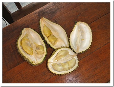 Durian-20100702_DSC01588
