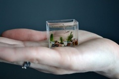 smallest-aquarium-006
