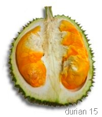 [durian6[6].jpg]