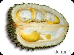 durian12