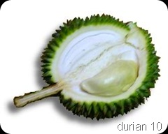 durian15