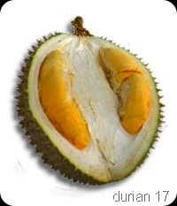 durian8