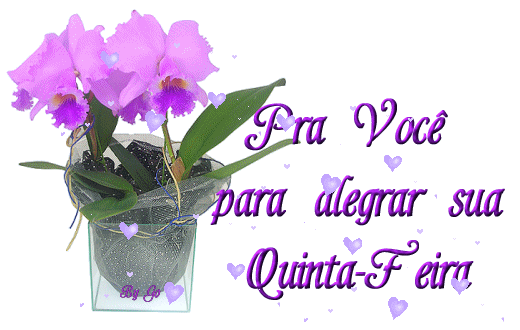 quinta.gif