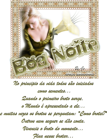 boanoite.gif