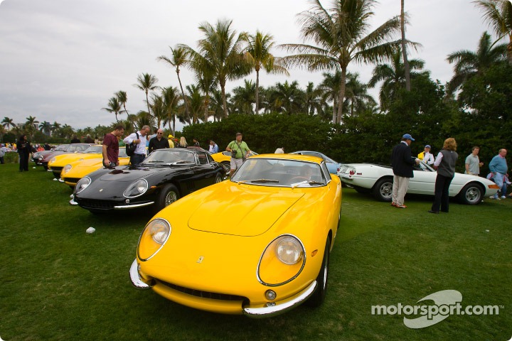 [Ferrari20[3].jpg]