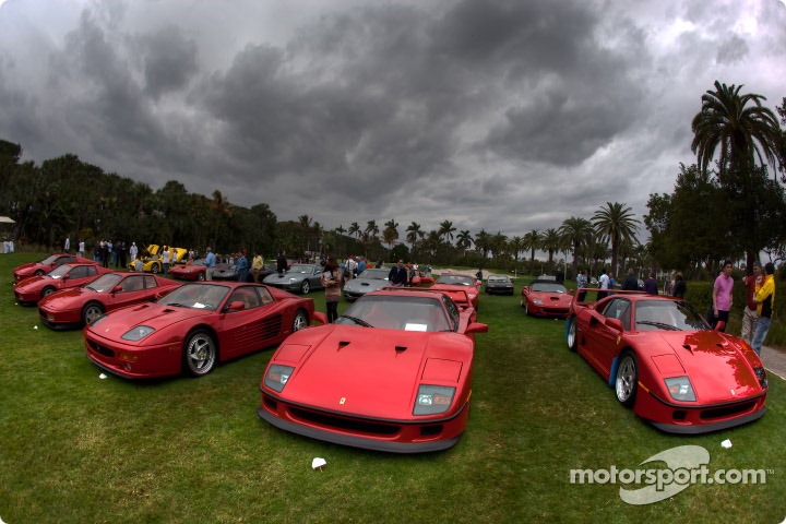 [Ferrari25[4].jpg]